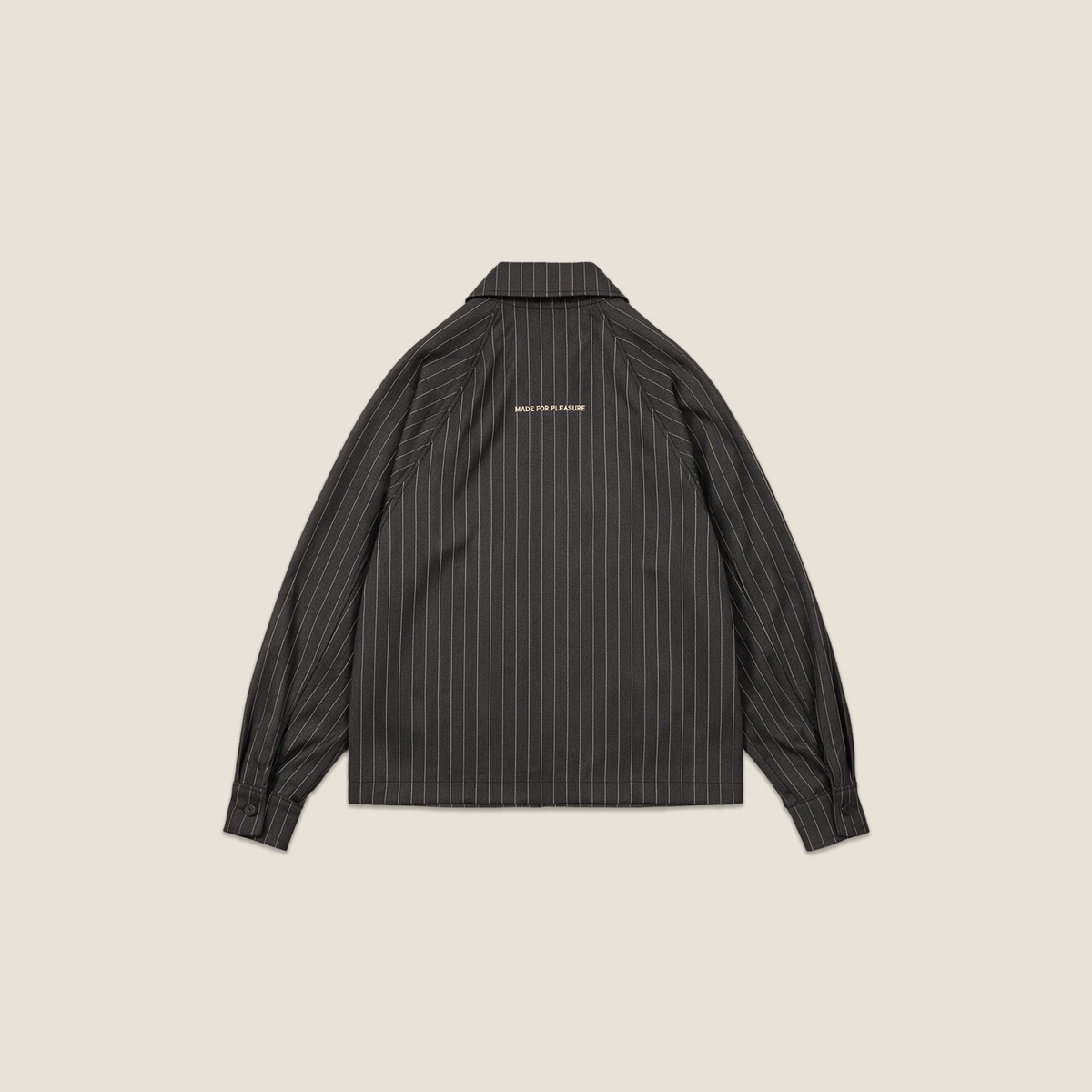 PINSTRIPED JACKET GREY